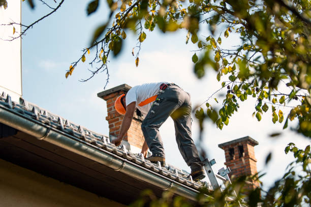 Best Roof Gutter Cleaning  in Georgiana, AL