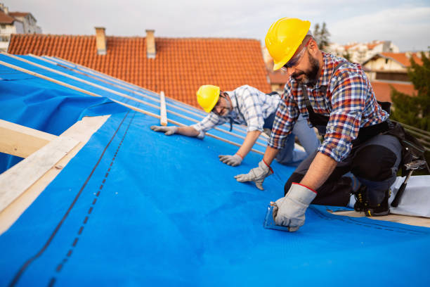 Best Affordable Roofing Company  in Georgiana, AL