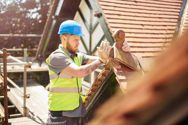 Best Gutter Installation and Roofing  in Georgiana, AL
