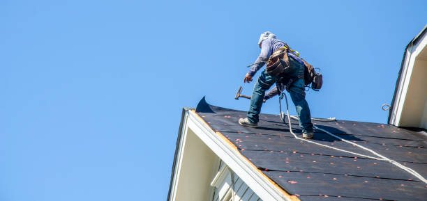 Best Roof Replacement Cost  in Georgiana, AL